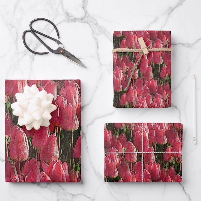 Hoja De Papel De Regalo Floral de tulipanes rosados (Anverso)