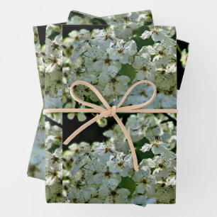Hoja De Papel De Regalo Florecimiento de las flores del oído