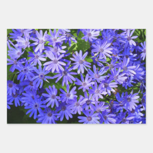 Hoja De Papel De Regalo Flores Azules Semejantes a Margaritas Fotografía d