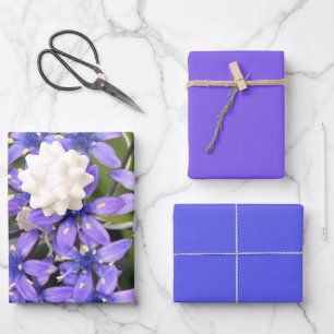 Hoja De Papel De Regalo Flores de alcantarilla portuguesas cerraron foto n