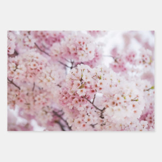 Hoja De Papel De Regalo Flores de cerezo