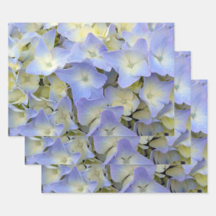 Hoja De Papel De Regalo Flores de hidrangea azul claro y Bonito