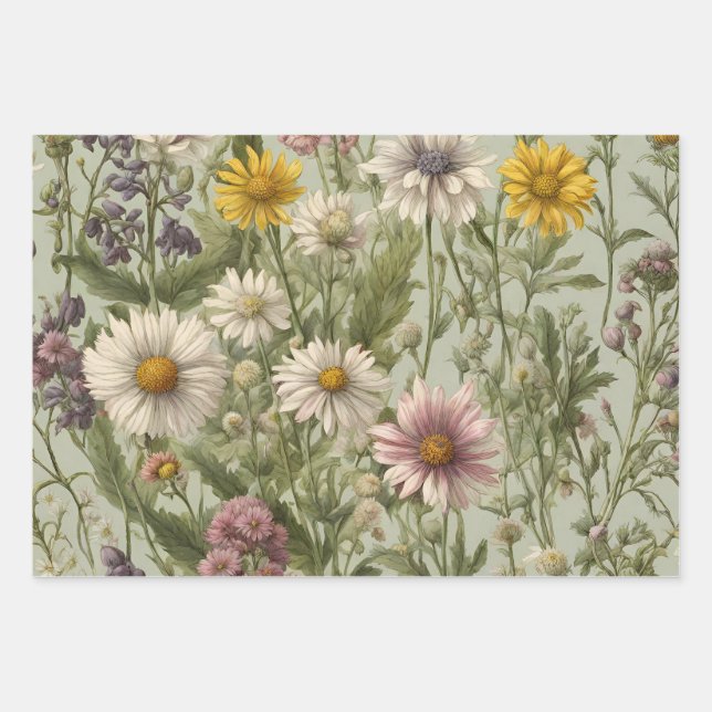 Hoja De Papel De Regalo Flores de margarita y flores silvestres antiguas (Anverso)