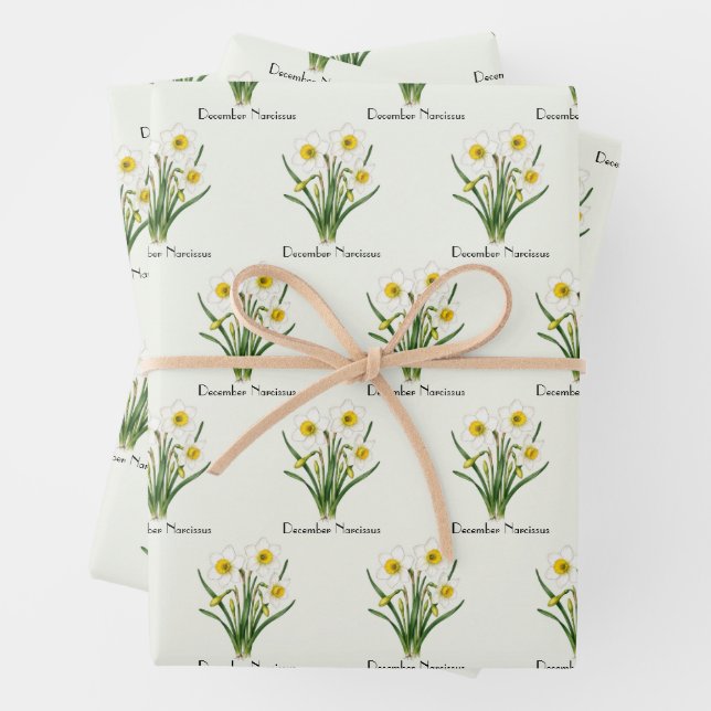 Hoja De Papel De Regalo Flores de Narciso de Diciembre (In situ)