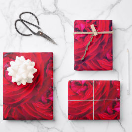 Hoja De Papel De Regalo Flores rojas de rosa con gotas de lavado - fotogra