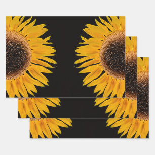 Hoja De Papel De Regalo Fondo negro simétrico del amarillo del girasol