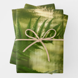 Hoja De Papel De Regalo Foto de Fern Nature