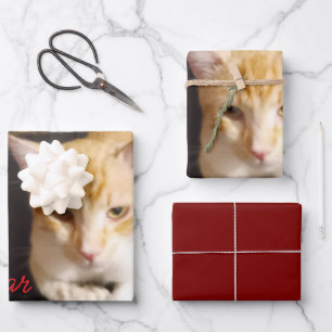 Hoja De Papel De Regalo Foto de gato ginger personalizable con texto
