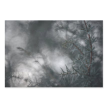 Foto de Juniper Floral Nature