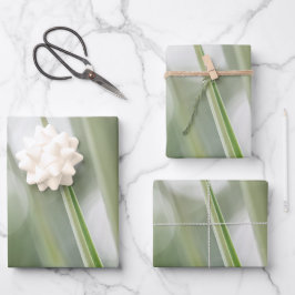 Hoja De Papel De Regalo Foto de la vegetación verde