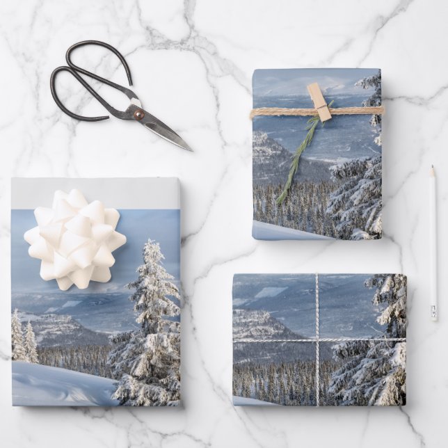 Hoja De Papel De Regalo Foto de nieve gris claro de Winter Wonderland (Anverso)