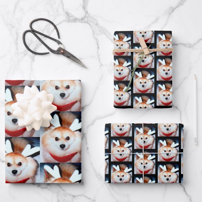 Hoja De Papel De Regalo Foto de perro Personalizado Pomeranian (Anverso)