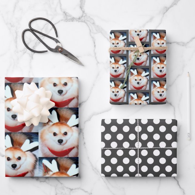 Hoja De Papel De Regalo Foto de Pomeranian Personalizado Perro Perro (Anverso)