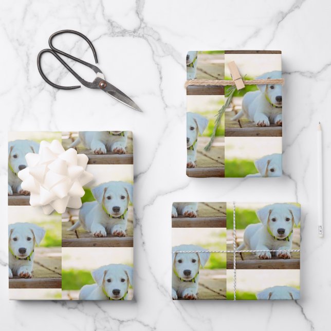 Hoja De Papel De Regalo Foto personalizada del mascota personalizado (Anverso)