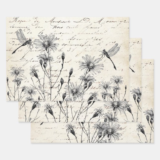 Hoja De Papel De Regalo French Script Wildflower Dragonfly Decoupage Craft (Set)