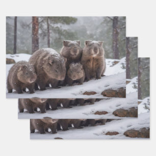 Hoja De Papel De Regalo Frozen Burrow: Familia Wombat australiana