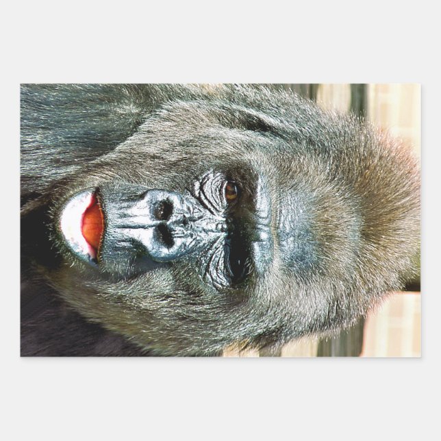 HOJA DE PAPEL DE REGALO FUNNY CUTE GORILLA (Anverso)
