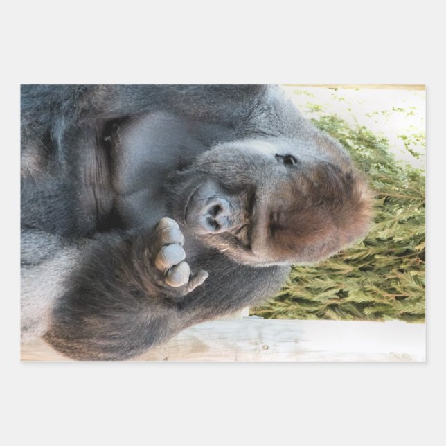 HOJA DE PAPEL DE REGALO FUNNY CUTE GORILLA (Anverso)