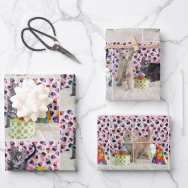 Hoja De Papel De Regalo ¡Gatitos! (gatos) Cumpleaños de Buffington y Patto