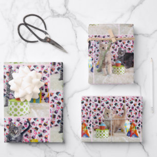 Hoja De Papel De Regalo ¡Gatitos! (gatos) Cumpleaños de Buffington y Patto