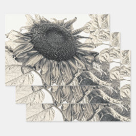 Hoja De Papel De Regalo Gigantes girasoles Vintage Sepia Decoupage Art