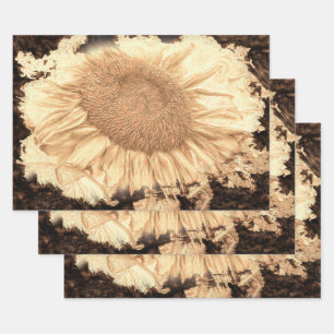 Hoja De Papel De Regalo Gigantes Vintage Sunflowers Pintado Rustic Vignett