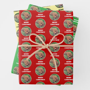 Hoja De Papel De Regalo Golden Doodle
