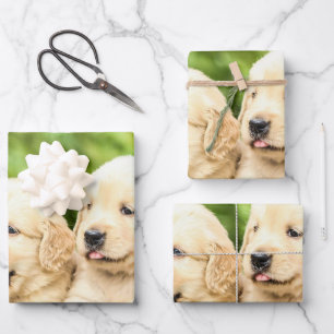 Hoja De Papel De Regalo Golden Retriever Cuppies en una fila