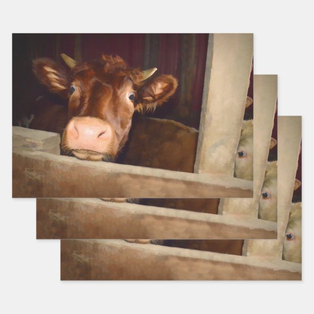 Hoja De Papel De Regalo Granja rústica de vacas marrones divertida (Set)