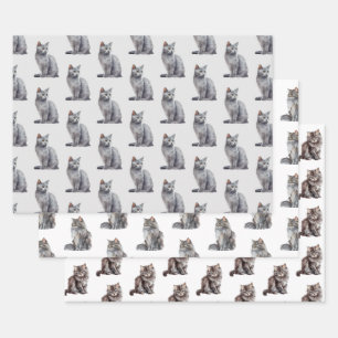 Hoja De Papel De Regalo Gray Kitty Cats