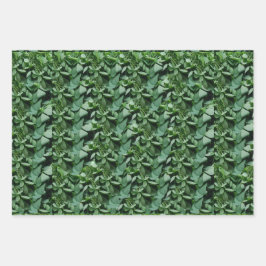 Hoja De Papel De Regalo Green Tora Leaves Botánicas