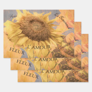 Hoja De Papel De Regalo Guión gris amarillo del país de los girasoles giga