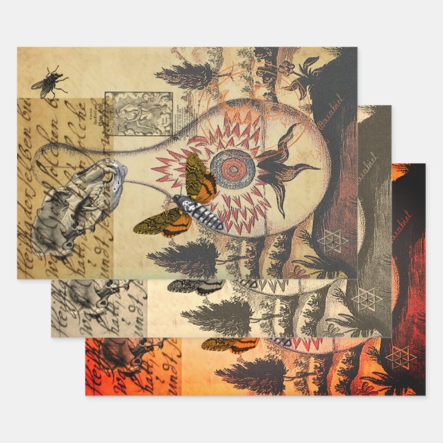 Hoja De Papel De Regalo Halloween Alchemy Moth Animal Skull (Set)