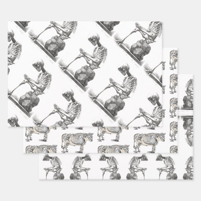 Hoja De Papel De Regalo Halloween Skeleton Sitting Anatomy (Set)