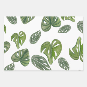 Hoja De Papel De Regalo Hand Watercolor Monstera Adansonii Leaf Bridal