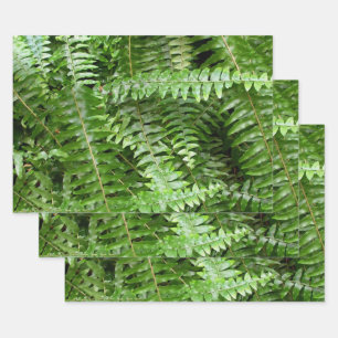 Hoja De Papel De Regalo Helechos verdes de la naturaleza