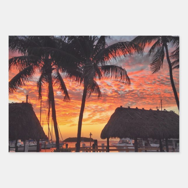 Hoja De Papel De Regalo Hermosas fotografías del paisaje de Florida (Anverso 3)