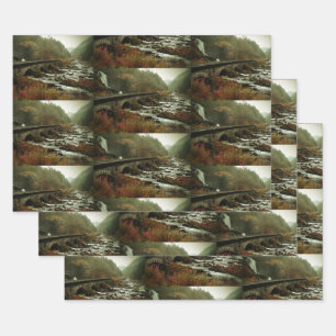 Hoja De Papel De Regalo Hermoso patrón fotográfico de naturaleza escénica
