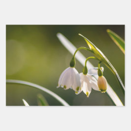 Hoja De Papel De Regalo Hermosos copos de nieve de primavera y gotas de ni