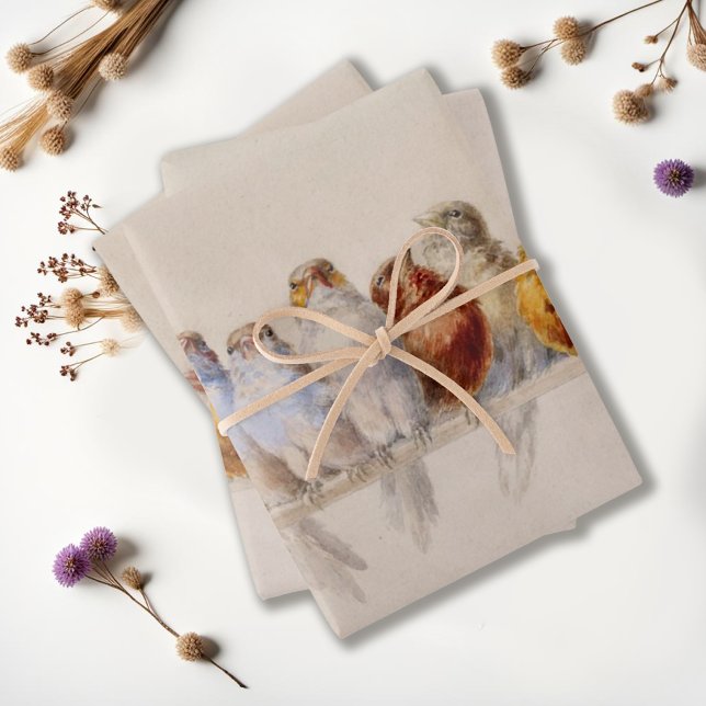 Hoja De Papel De Regalo Hermosos pájaros Pérdida acuática de pájaros (Subido por el creador)