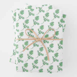 Hoja De Papel De Regalo Hoja de Apio