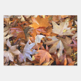 Hoja De Papel De Regalo Hoja de Otoño