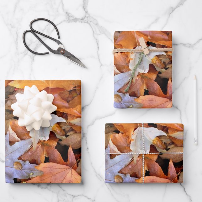 Hoja De Papel De Regalo Hoja de Otoño (Anverso)