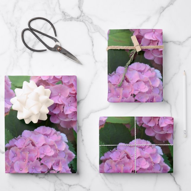 Hoja De Papel De Regalo Hortensia hidrangea bush rosa (Anverso)