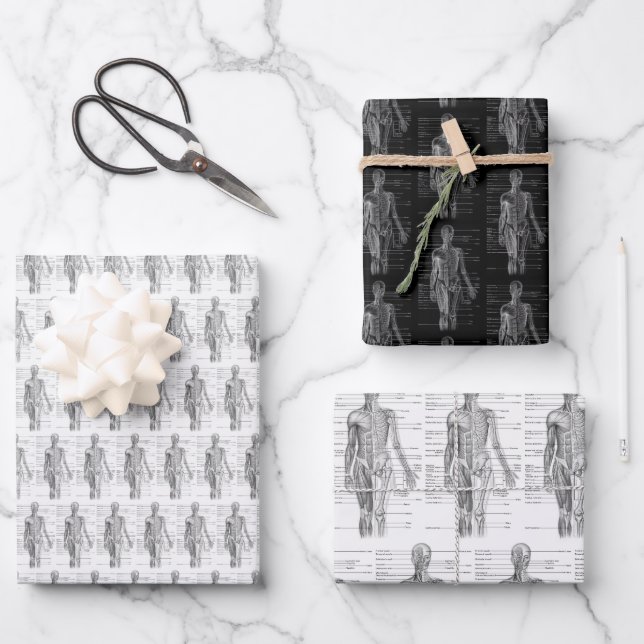 Hoja De Papel De Regalo Human Anatomy Medical chart (Anverso)