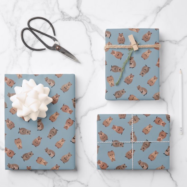 Hoja De Papel De Regalo Illustrated Quokkas on Light Gray-Blue (Anverso)