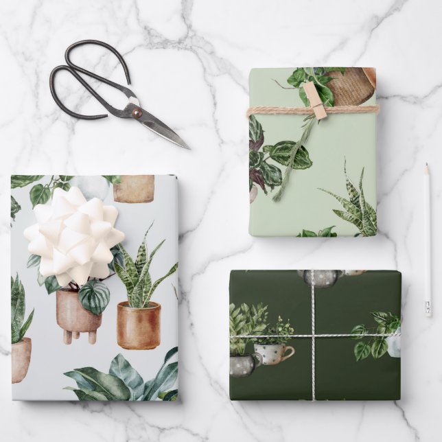 Hoja De Papel De Regalo Indoor Plants Wrapping Paper (Anverso)