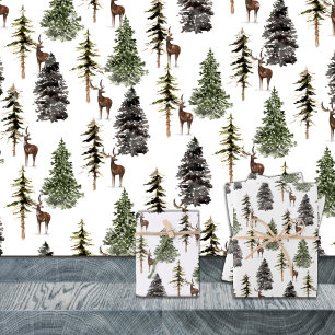 Hoja De Papel De Regalo Invernadero de los bosques de pinos de bosques