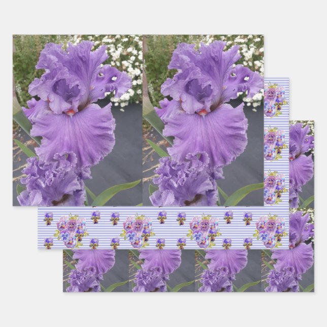 Hoja De Papel De Regalo Iris Flower Flowers Purple Lavender Lilac Floral (Set)
