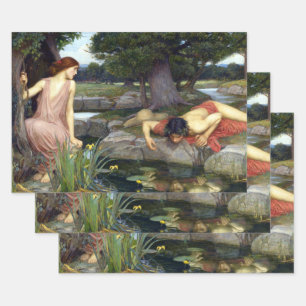 Hoja De Papel De Regalo John William Waterhouse Echo y Narcissus Poster